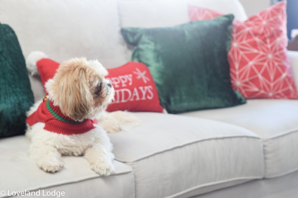 Christmas Living Room